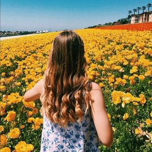 Meet your Posher, Izzy